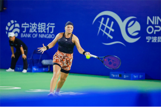 稳定西部排 稳定西部排