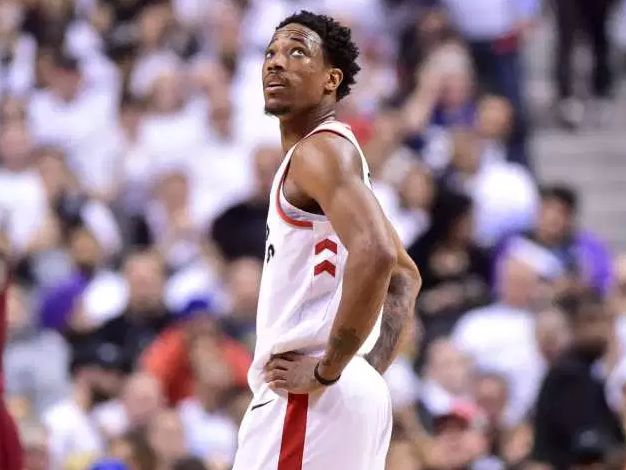 的灵活性 的灵活性